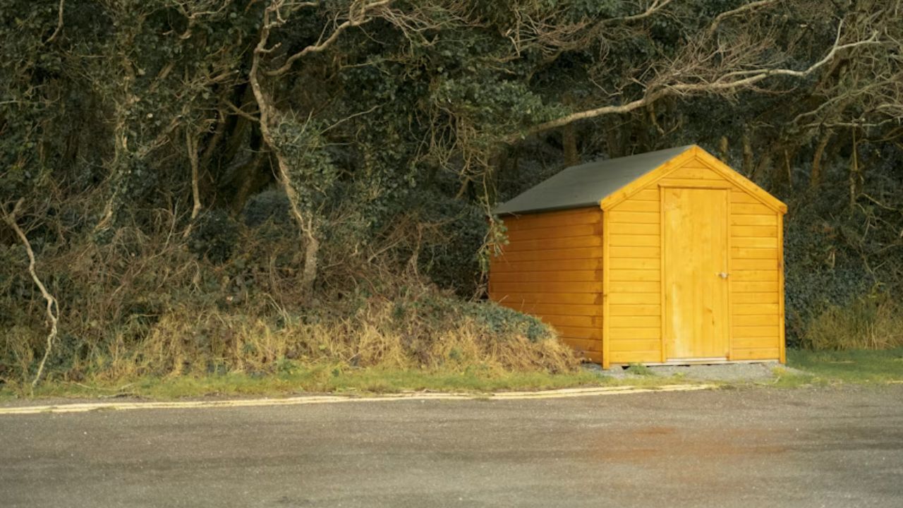 Resin vs. Wood Sheds Which One Requires Less Maintenance